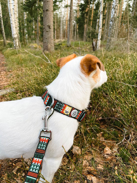 WOOLLY WOLF WOODLAND antkaklis šunims, 30–45 paveikslėlis