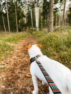 WOOLLY WOLF Woodland pavadėlis šunims, 150 cm   paveikslėlis