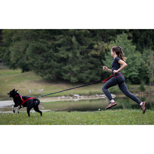 KYFLIE Ludus performance reguliuojamas diržas aktyviam laisvalaikiui su šunimis, T1, juodas/raudonas paveikslėlis