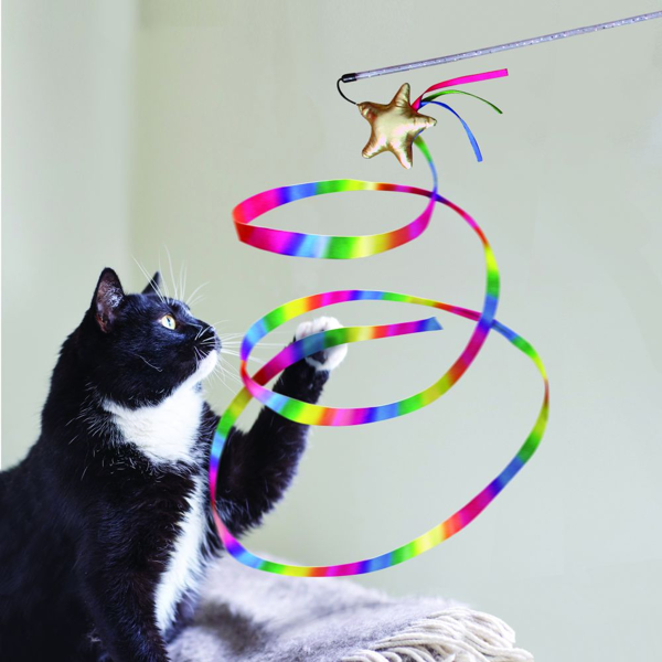 KONG ryškus žaislas ant pagaliuko katėms paveikslėlis
