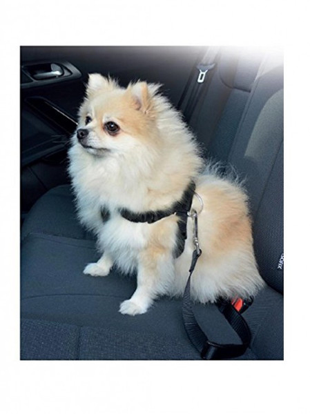 PAWISE automobilio saugos diržas šunims paveikslėlis