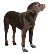 KERBL Susi apsauginės kojinės šunims XL, juodos 2 vnt. paveikslėlis