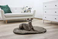 KERBL Traveller kelioninis kilimėlis šunims 85x65x3cm, rudas paveikslėlis