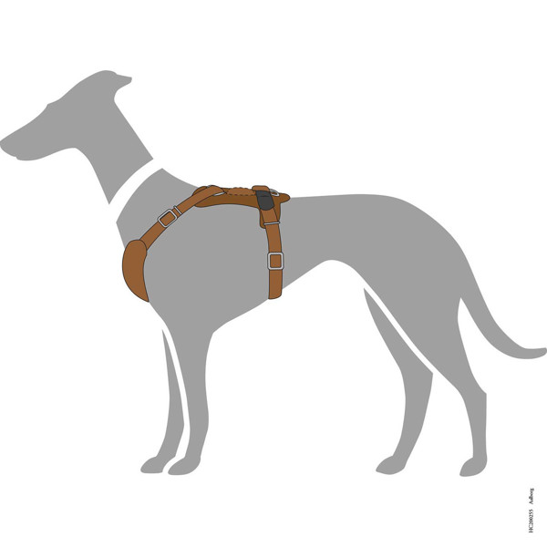 HUNTER AALBORG funkcionalios odinės petnešos šunims, 65–95/M–L, rudos paveikslėlis