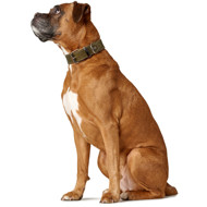 HUNTER AALBORG SPECIAL odinis antkaklis šunims 60/M-L, rusvai žalsvas paveikslėlis