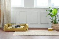 HUNTER EIBY sofa šunims ir katėms, 60x40 cm, geltona paveikslėlis
