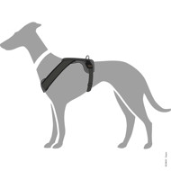 HUNTER NEOPRENE petnešos iš neopreno šunims, L, pilkos paveikslėlis