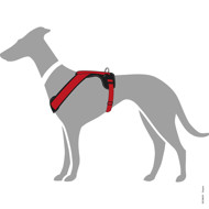 HUNTER NEOPRENE petnešos iš neopreno šunims, L, raudonos paveikslėlis