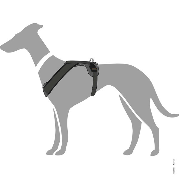 HUNTER NEOPRENE petnešos iš neopreno šunims, S, pilkos paveikslėlis