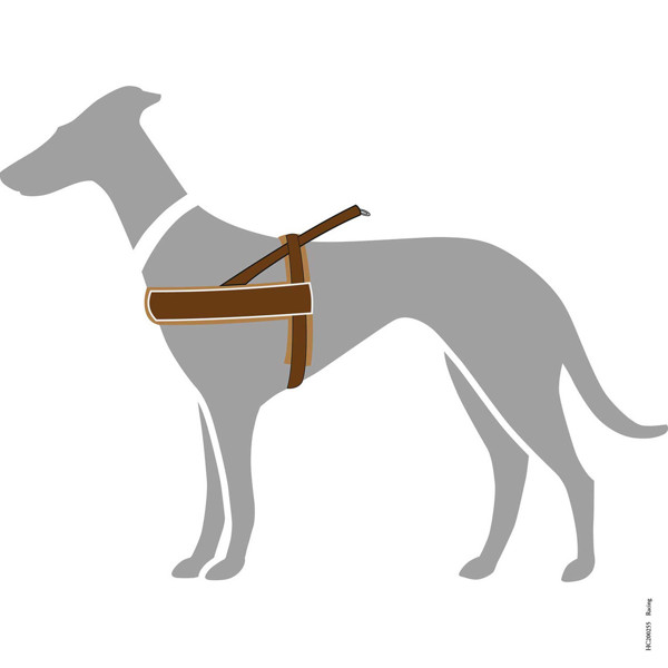 HUNTER NORWEGIAN RACING nailonines petnešos šunims, L, rudos paveikslėlis