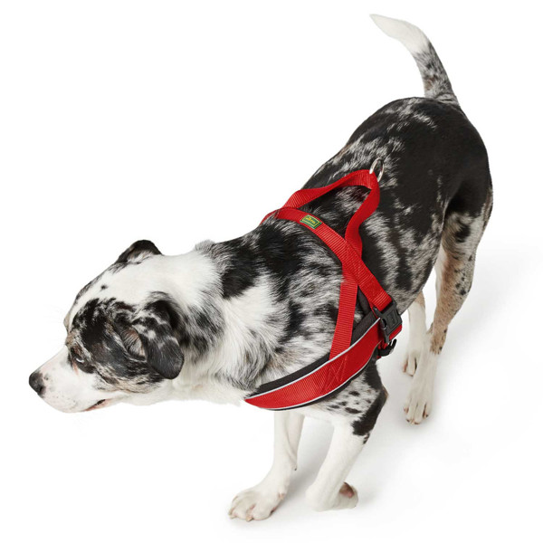 HUNTER NORWEGIAN RACING nailonines petnešos šunims, M– L, raudonos paveikslėlis