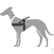 HUNTER NORWEGIAN RACING nailonines petnešos šunims, M– L, juodos paveikslėlis