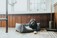HUNTER RAVINA sofa šunims, 100x70 cm, pilka paveikslėlis