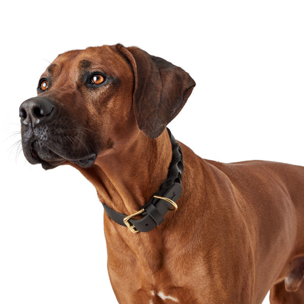 HUNTER SANSIBAR SOLID stilingas odinis antkaklis šunims, 45/S-M, juodas paveikslėlis