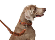 HUNTER SOLID EDUCATION CHAIN išskirtinis odinis grandinėlės tipo antkaklis šunims 60/M–L, rudas paveikslėlis
