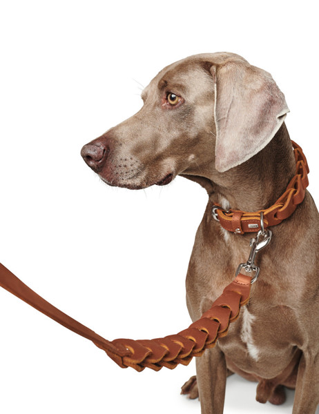 HUNTER SOLID EDUCATION CHAIN Išskirtinis odinis grandinėlės tipo pavadėlis šunims 20/120 paveikslėlis