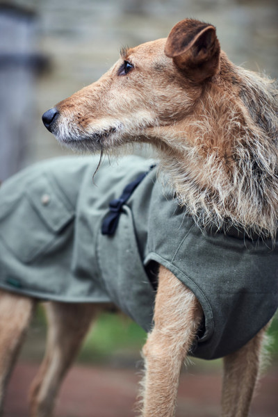 HUNTER UPPSALA TREND funkcionalus paltas šunims, 40, rusvai žalsvas paveikslėlis