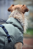 HUNTER UPPSALA TREND funkcionalus paltas šunims, 50, žalsvai rusvas paveikslėlis