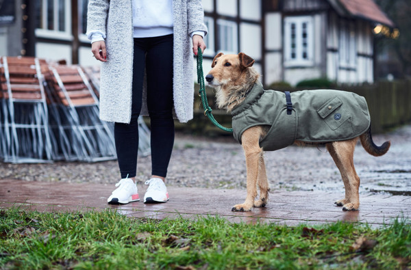 HUNTER UPPSALA TREND funkcionalus paltas šunims, 60, žalsvai rusvas paveikslėlis