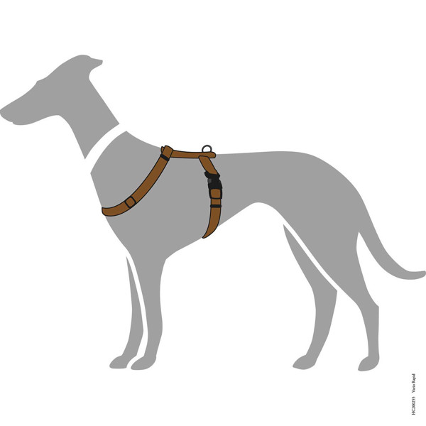 HUNTER VARIO-RAPID petnešos šunims, 64–100 / M– L, rudos paveikslėlis