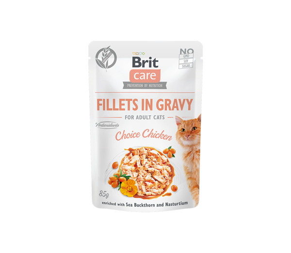 BRIT CARE Cat Fillets in Gravy Choice chicken konservai suaugusioms katėms su vištiena 85 g paveikslėlis
