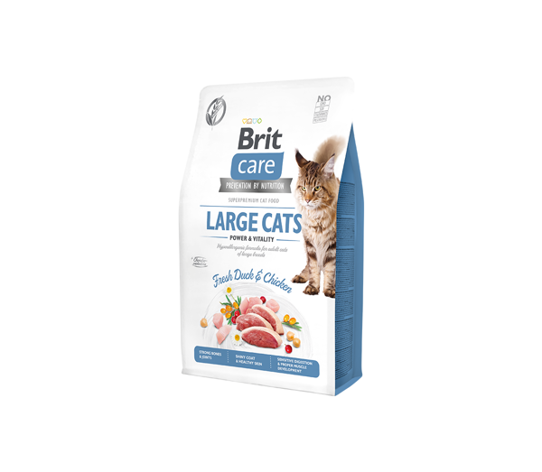 BRIT CARE Cat Large cats Power&Vitality sausas maistas didelių veislių katėms 2 kg paveikslėlis
