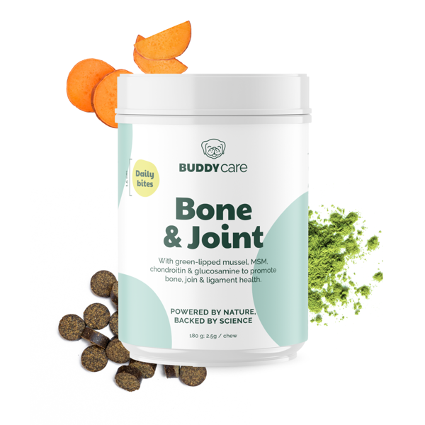 BUDDY Bone & Joint papildas kaulams, sąnariams raiščiams stiprinti paveikslėlis