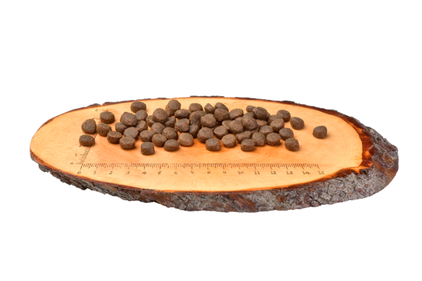 CARNILOVE Duck&Turkey Large Breed Cats sausas maistas didelių veislių katėms 400 g paveikslėlis