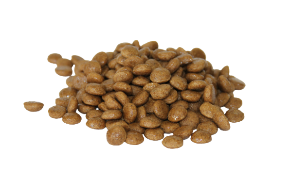 DR. CLAUDER'S Hyposensitive sausas pašaras jautriems šunims su lašiša ir bulvėmis 3,5 kg paveikslėlis DR. CLAUDER'S Hyposensitive sausas pašaras jautriems šunims su lašiša ir bulvėmis 3,5 kg paveikslėlis