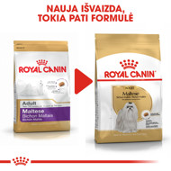 ROYAL CANIN BHN Maltese adult sausas maistas suaugusiems Maltos bišonų veislės šunims 1,5 kg paveikslėlis