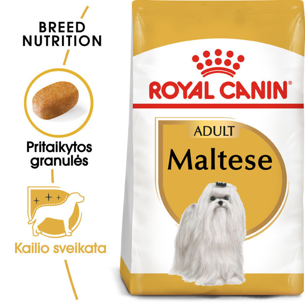 ROYAL CANIN BHN Maltese adult sausas maistas suaugusiems Maltos bišonų veislės šunims 1,5 kg paveikslėlis