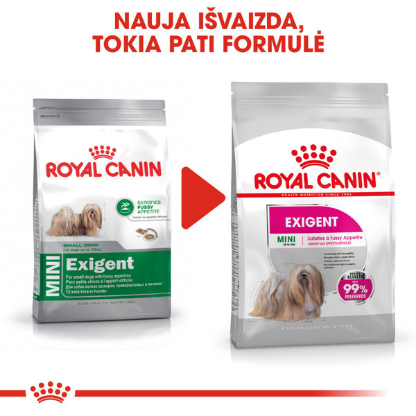 ROYAL CANIN CCN Mini exigent sausas maistas išrankiems suaugusiems mažų veislių šunims 3 kg paveikslėlis