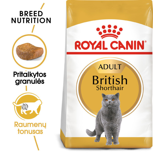 ROYAL CANIN FBN British Shorthair sausas maistas Britų trumpaplaukėms katėms 2 kg paveikslėlis