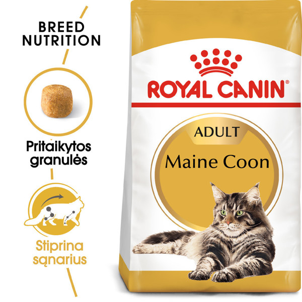 ROYAL CANIN FBN Maine Coon sausas maistas suaugusioms Meino meškėno katėms 2 kg paveikslėlis