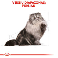 ROYAL CANIN FBN Persian sausas maistas suaugusioms Persų veislės katėms 2 kg paveikslėlis