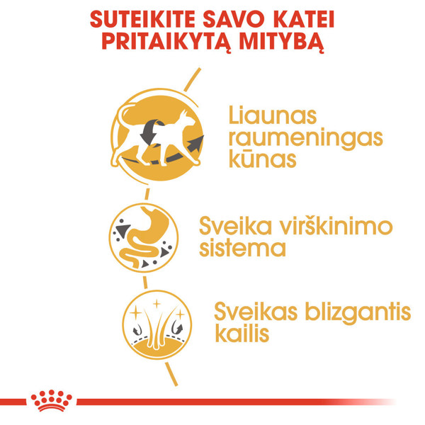 ROYAL CANIN FBN Siamise sausas maistas suaugusioms Siamo veislės katėms 2 kg paveikslėlis