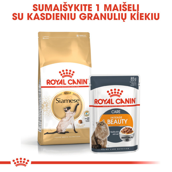 ROYAL CANIN FBN Siamise sausas maistas suaugusioms Siamo veislės katėms 2 kg paveikslėlis