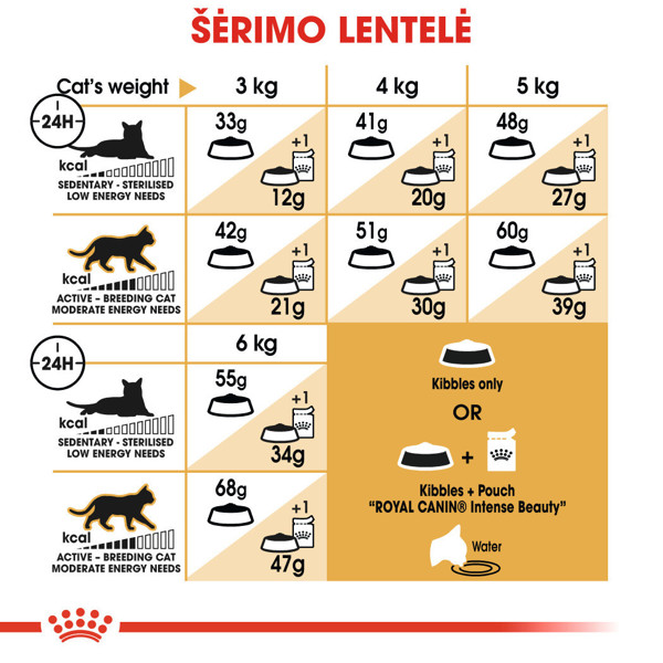 ROYAL CANIN FBN Siamise sausas maistas suaugusioms Siamo veislės katėms 2 kg  paveikslėlis