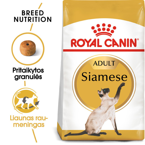 ROYAL CANIN FBN Siamise sausas maistas suaugusioms Siamo veislės katėms 2 kg paveikslėlis