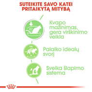 ROYAL CANIN FHN Digest sensitive in gravy konservai padaže suaugusioms jautrioms katėms 12x85 g paveikslėlis