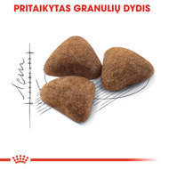 ROYAL CANIN FHN Indoor sausas maistas suaugusioms patalpose gyvenančioms katėms 2 kg paveikslėlis