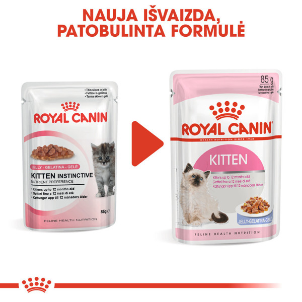 ROYAL CANIN FHN Kitten instinctive in jelly konservai drebučiuose kačiukams 12x85 g paveikslėlis