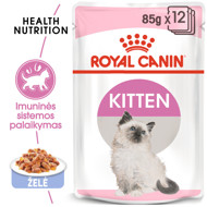 ROYAL CANIN FHN Kitten instinctive in jelly konservai drebučiuose kačiukams 12x85 g paveikslėlis