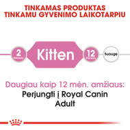 ROYAL CANIN FHN Kitten sausas maistas kačiukams 2 kg paveikslėlis