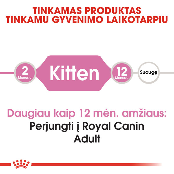 ROYAL CANIN FHN Kitten sausas maistas kačiukams 2 kg paveikslėlis
