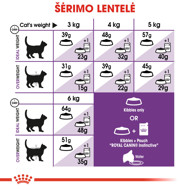 ROYAL CANIN FHN Sensible sausas maistas suaugusioms katėms 2 kg paveikslėlis