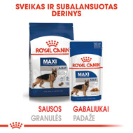 ROYAL CANIN SHN Maxi adult  konservai didelių veislių suaugusiems šunims 10x140 g paveikslėlis