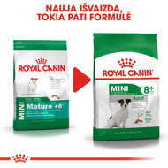 ROYAL CANIN SHN Mini adult 8 plus sausas maistas vyresniems mažų veislių šunims 2kg paveikslėlis