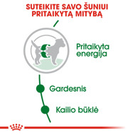 ROYAL CANIN SHN Mini adult sausas maistas suaugusiems šunims 2 kg paveikslėlis