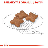 ROYAL CANIN SHN Mini adult sausas maistas suaugusiems šunims 2 kg paveikslėlis